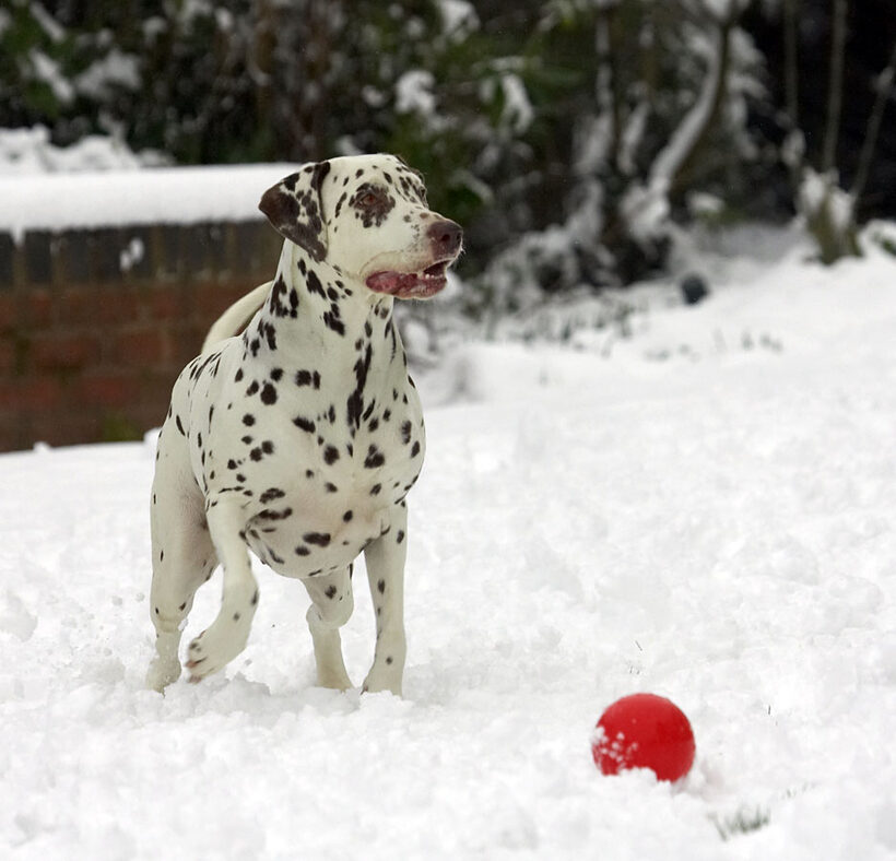 What ball?