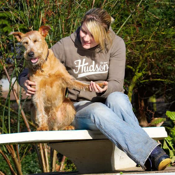 Animal, Animals, Blonde, Canine, Canines, Dog, Dogs, Irish Terrier, Kate, Land Mammal, Land Mammals, Play, Playing, Playtime, Terrestrial Mammal, Terrestrial Mammals, Terriers, Tintin, Tongue, Woman
