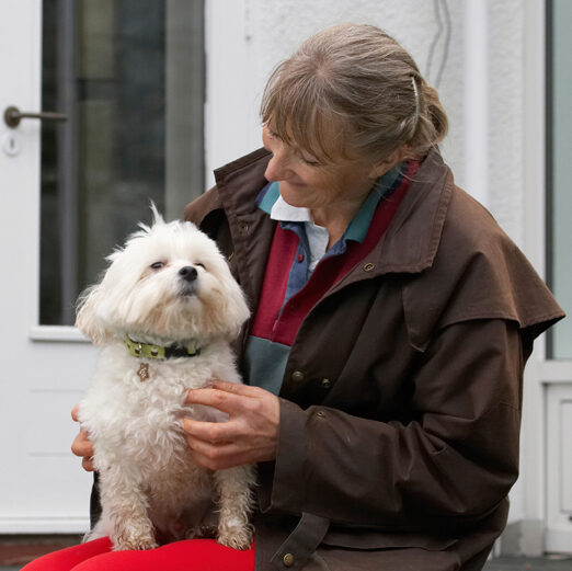 Best, Cathy, Dog, Dogs, Friend, Maltese, Sitting, Teddy
