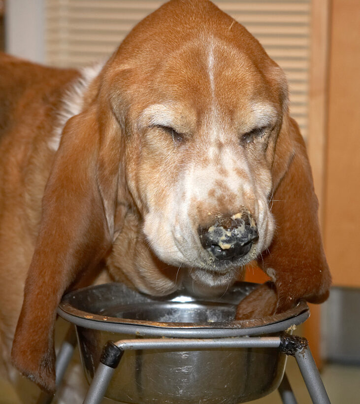 Douglas Eating His Breakfast