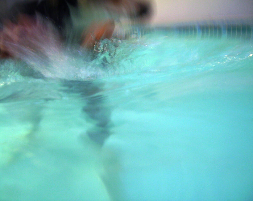 Animal, Animals, Canine hydrotherapy, Cathy Bushby, Dog, Dogs, Lurcher, Murphy, Pet, Pets, Swimming