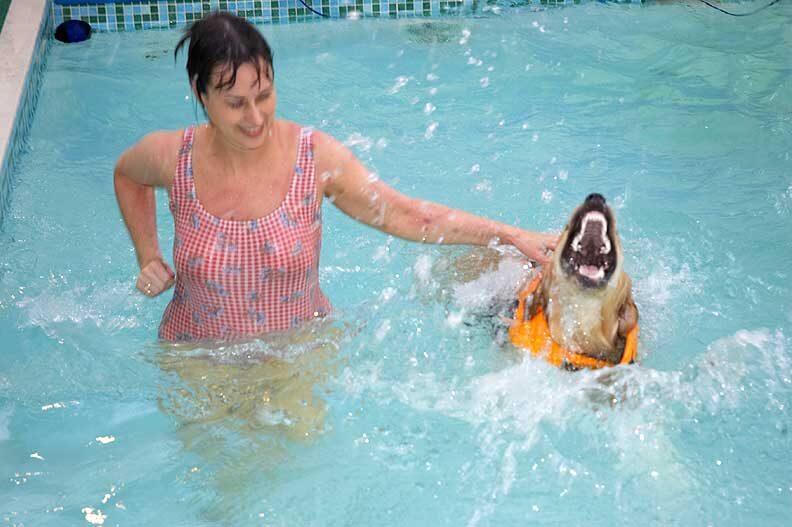 Bella trying to catch the water drops she makes as she splashes