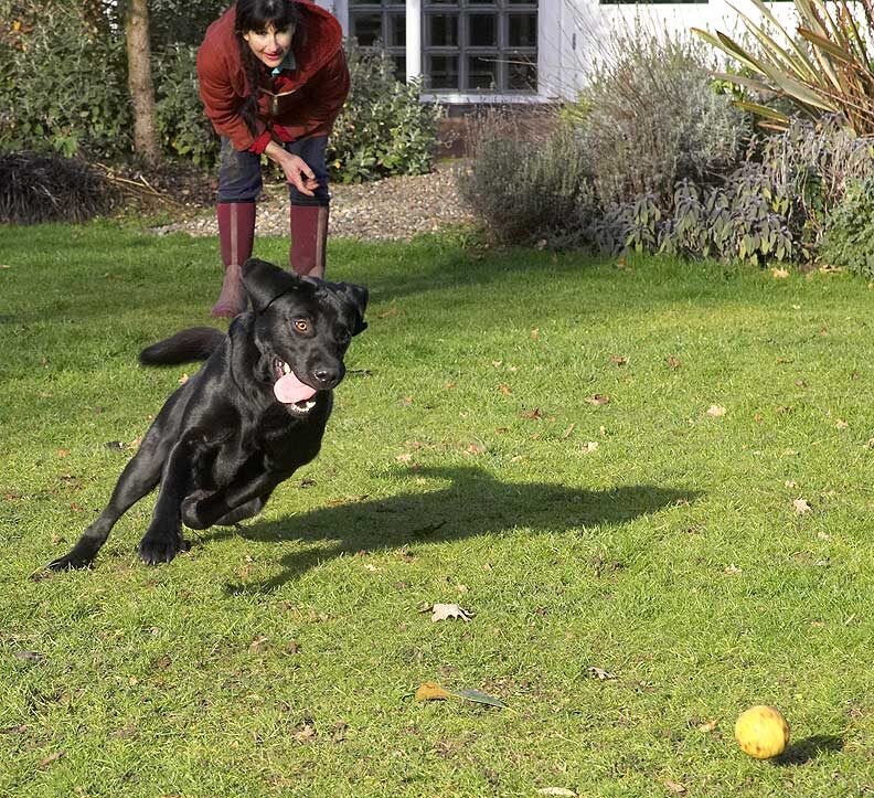 Rupert Playing Catch