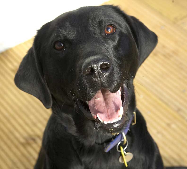 Ben With a Big Smile