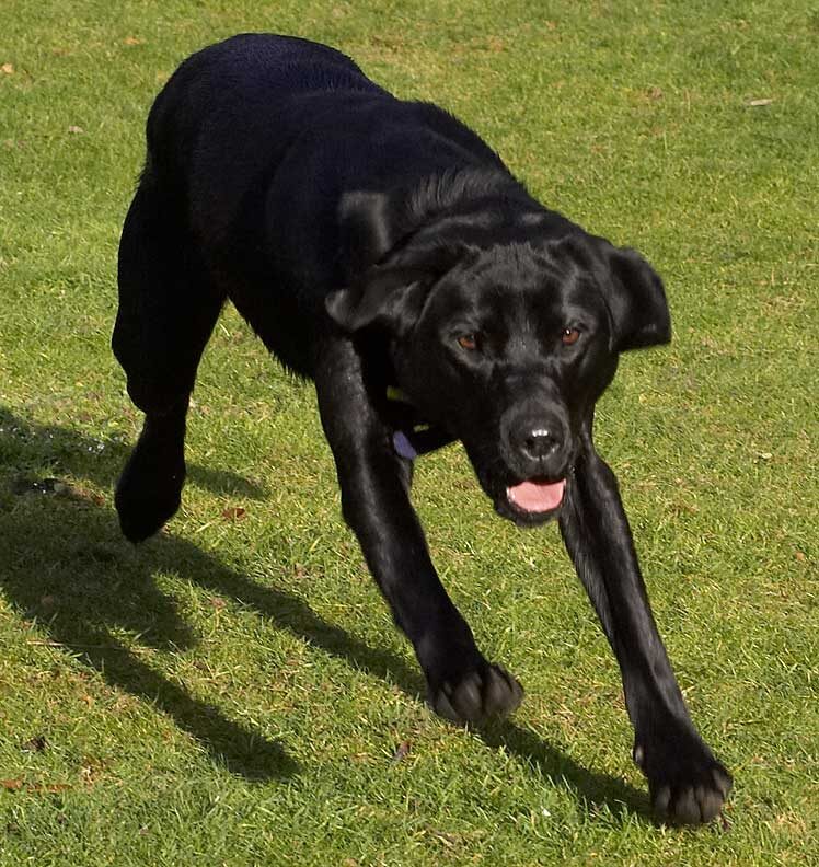 Ben Playing Catch