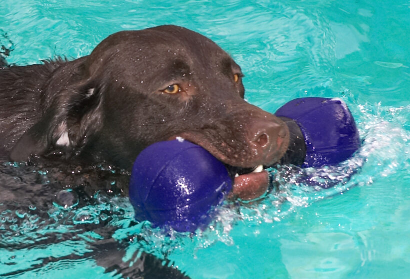 George