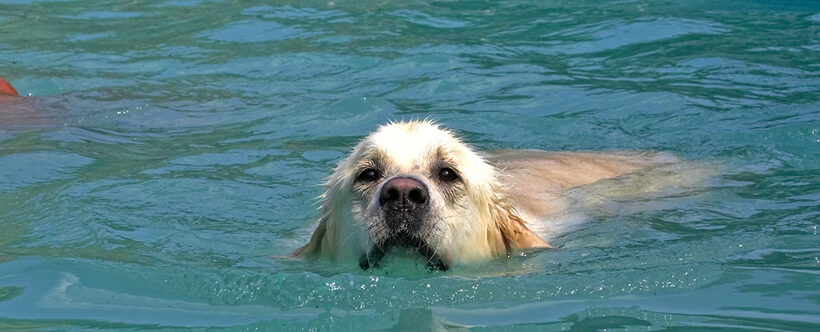 Wait a minute - one minute I'm looking at the pool and the next..........