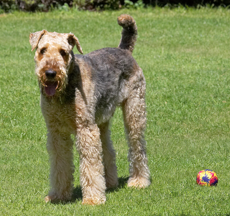 What ball?