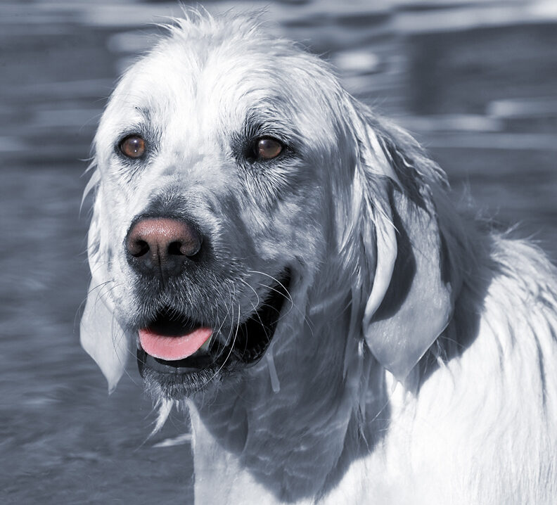 Hey, this swimming isn't so bad