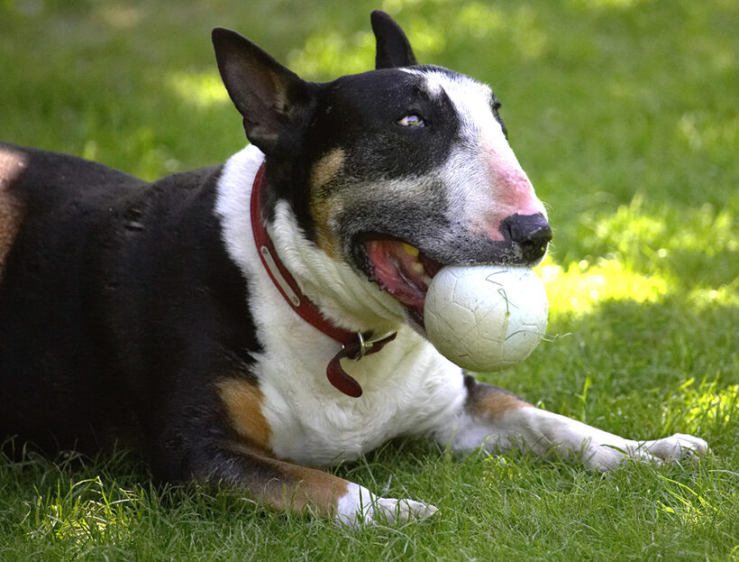 This ball is just about my size