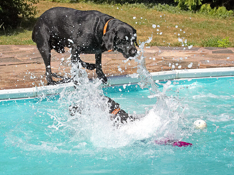Hey, careful who you're splashing