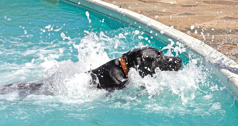 I know how to make a splash