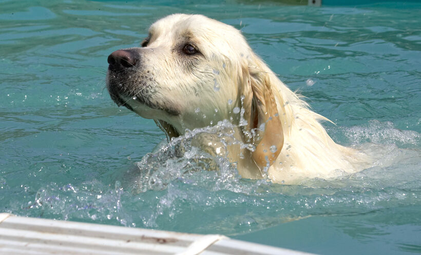 Making a splash