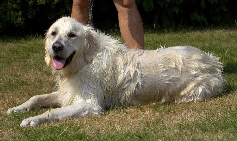 What an achievement; now I'm gonna lie on the grass and dry off