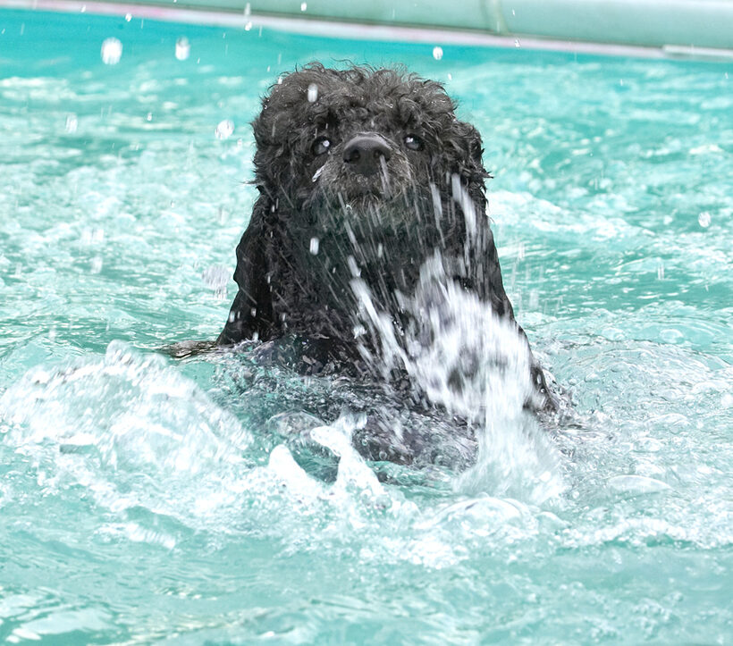 How do I keep this water out of my hair?!