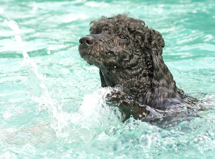 Did I make that splash?