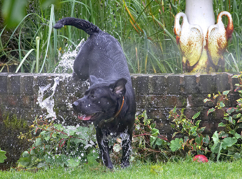 Where's that ball
