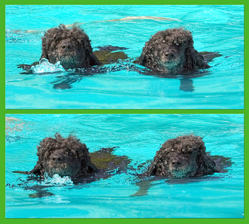 Synchronised swimming