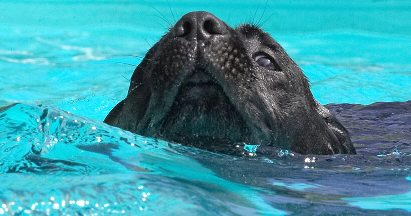 I just gotta keep my head above water