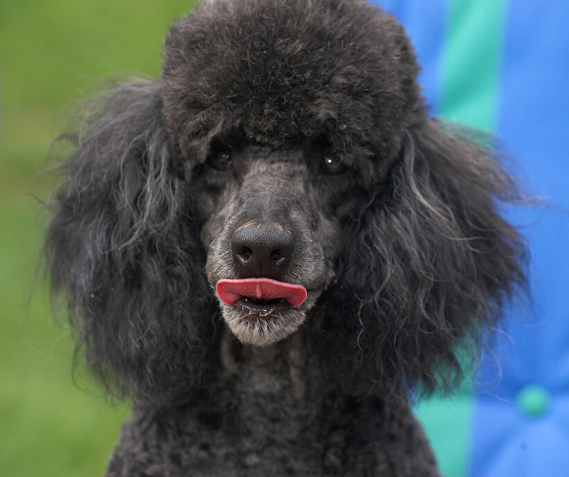 I am one handsome guy