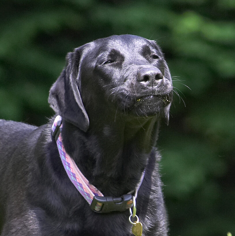 Funny face