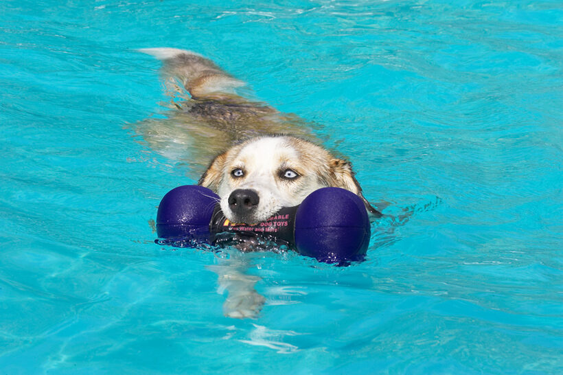 A leisurely swim is perfect in this weather