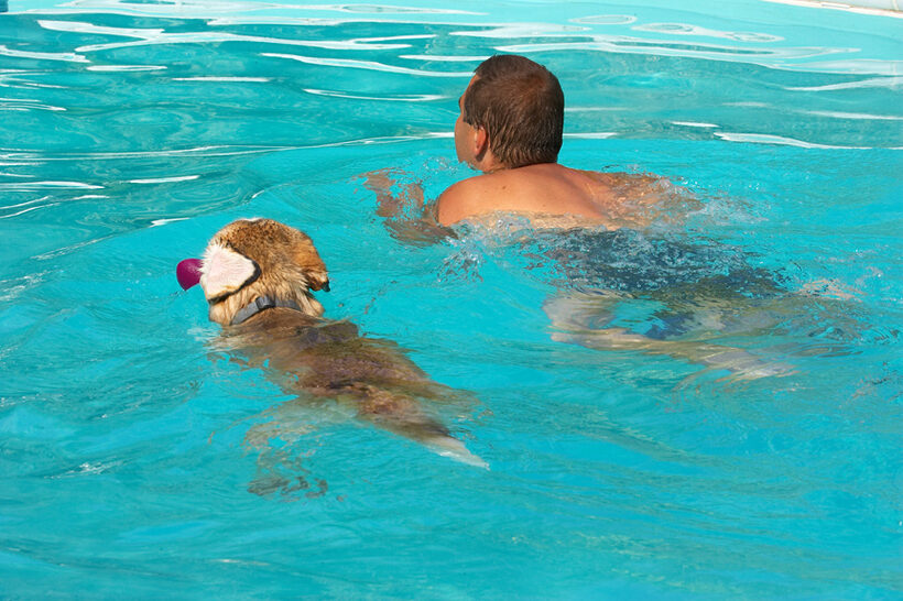 This is my swimming partner