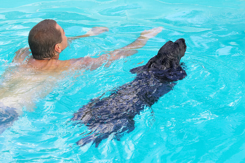 Synchronised swimming