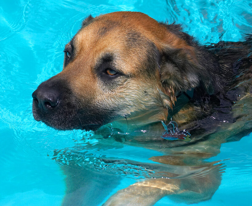 Hey, I'm just concentrating on keeping afloat