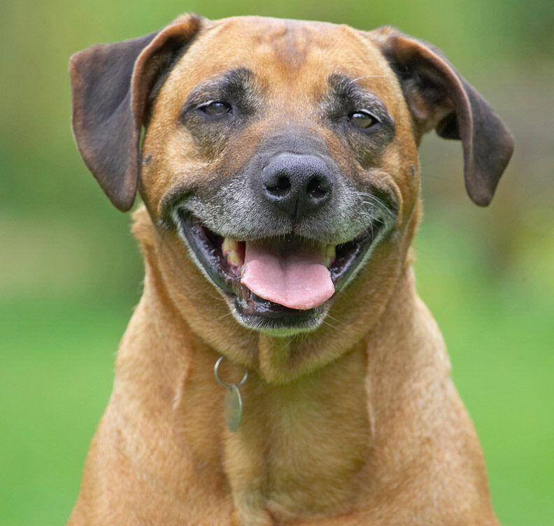 Don't I have a cute smile!