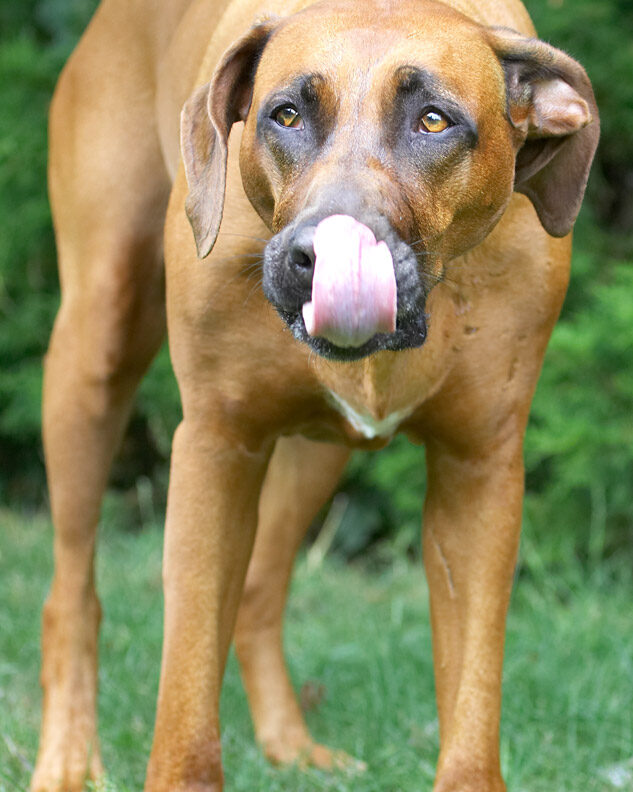 Wow, look how far I can stretch my tongue
