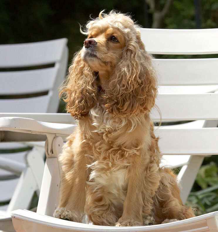 England, summer - a girl's gotta catch the rays when she can!