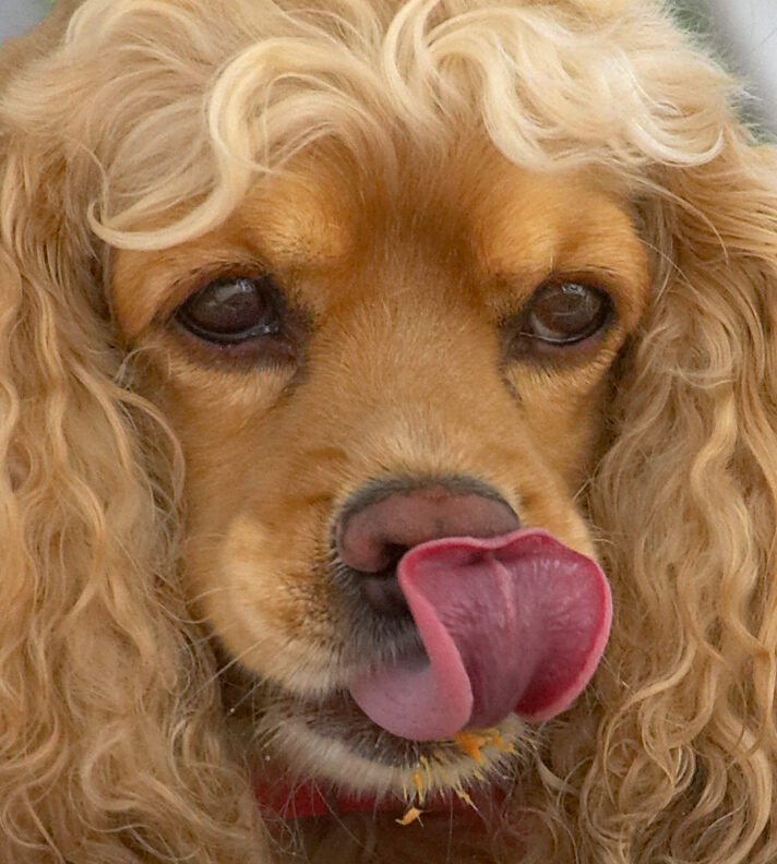 Just cleaning my nose