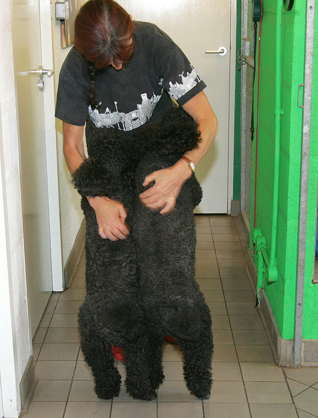 Marjorie Giving Bali and India a Cuddle