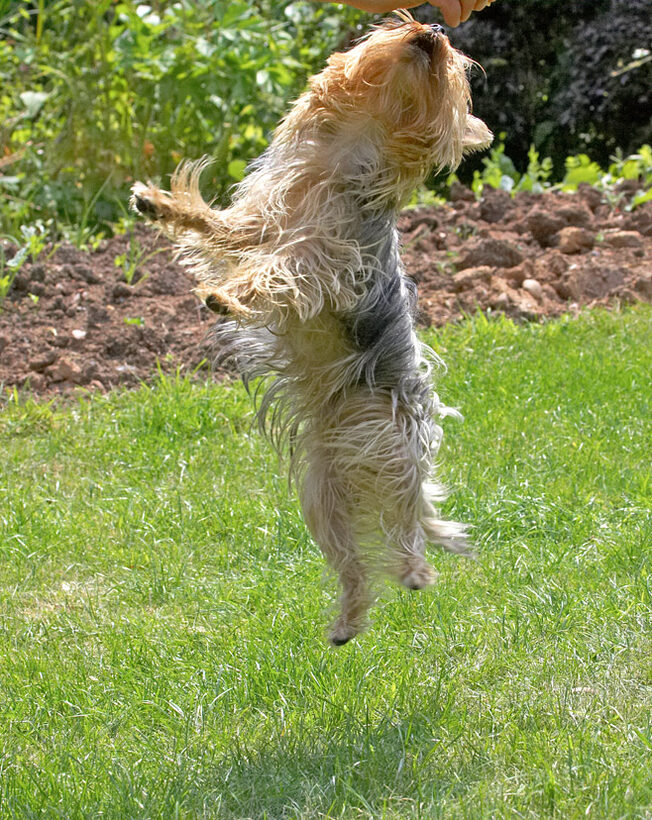 Look, Mum, Dad, I'm flying