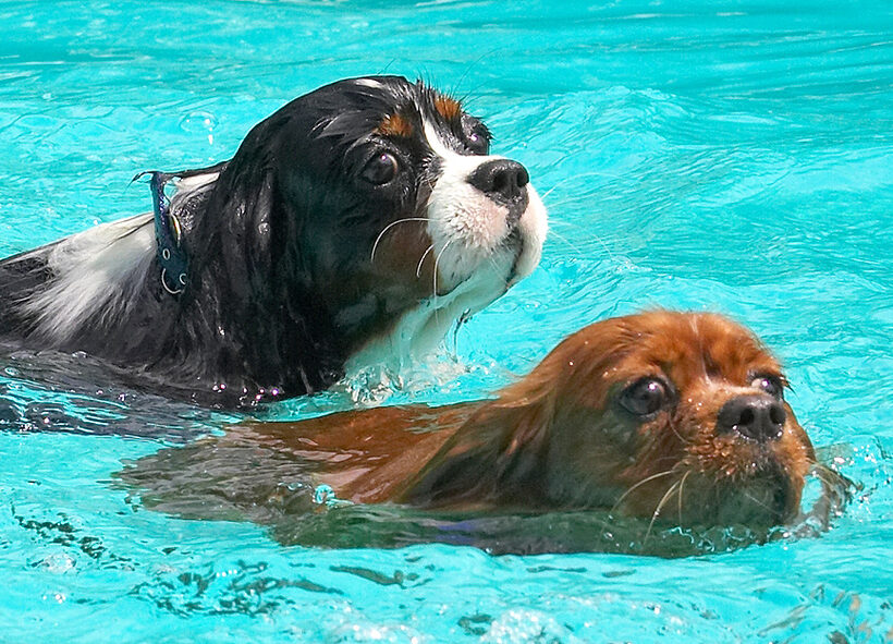 I'll follow Ruby; she looks like she knows where we're goin'