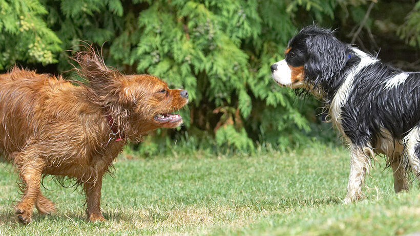 Your face will stay like that if you're not careful