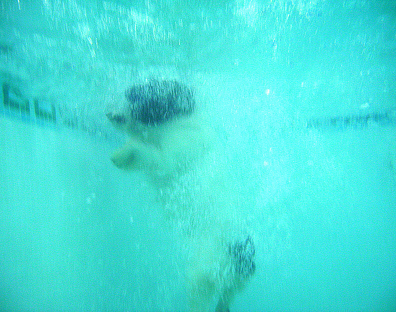 Charlie's Dive