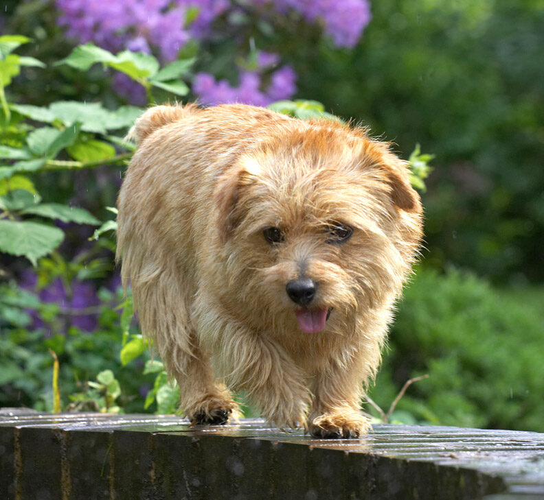 I jumped up here all by myself!