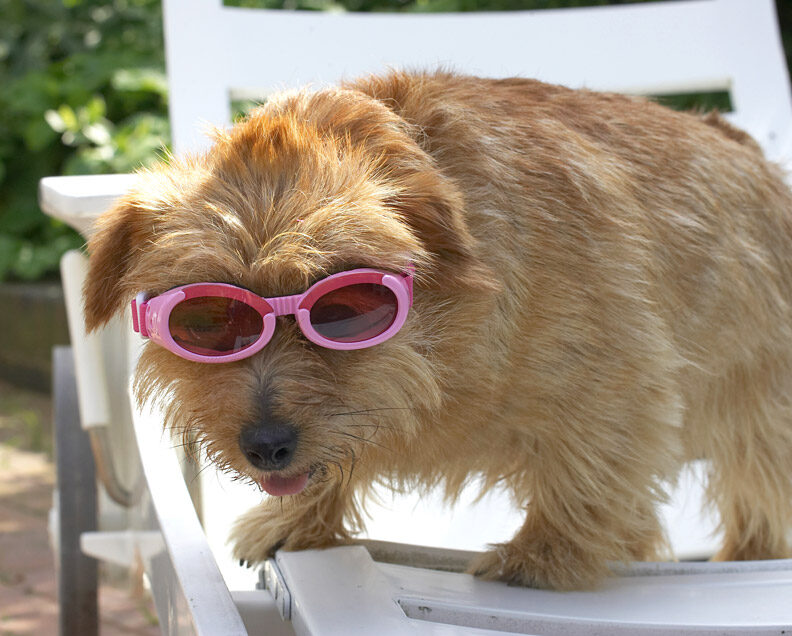 Wow, summer - time for some sunbathing