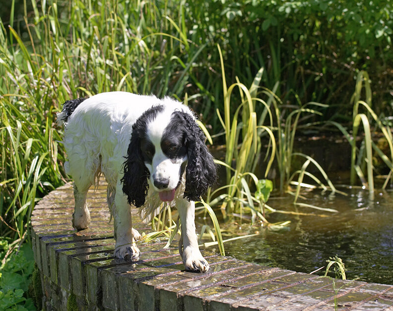 I'll stand here until I dry off