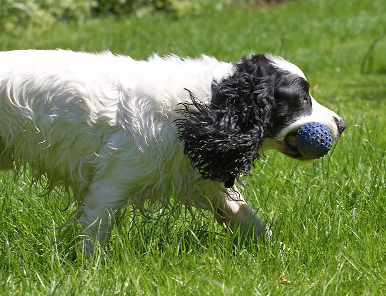 And now back to the job of running down the ball