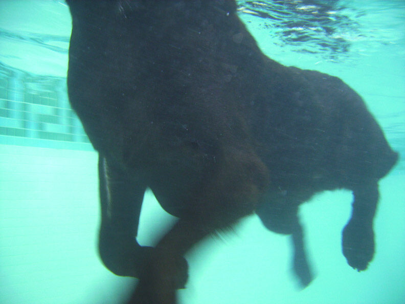 George Swimming