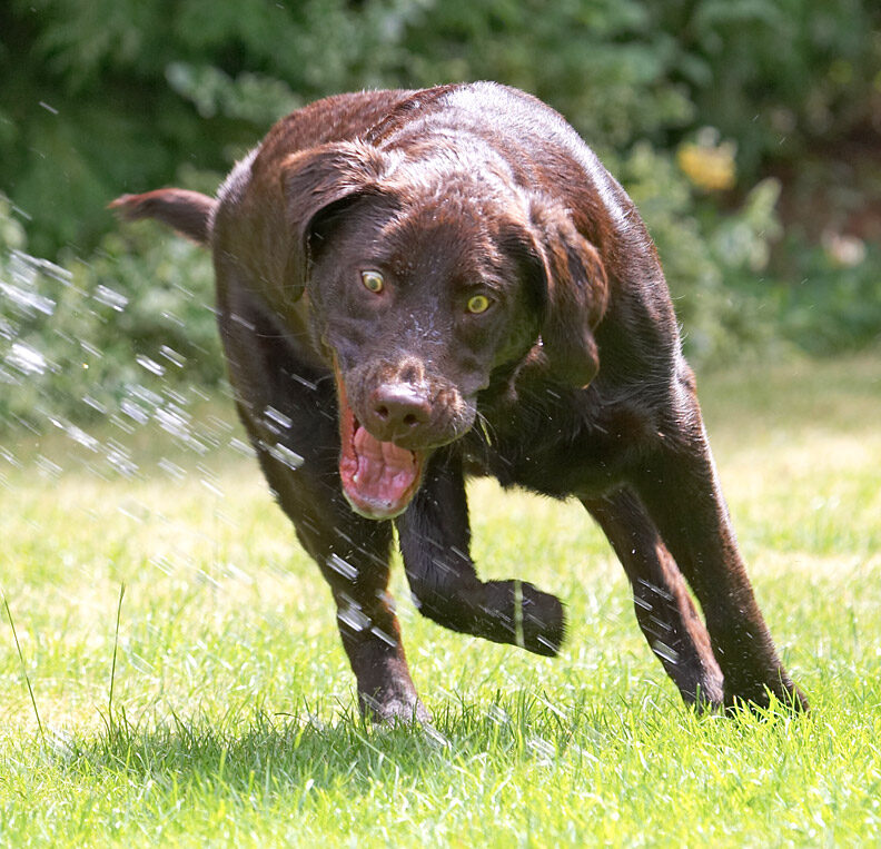 This cooling down is hard work!