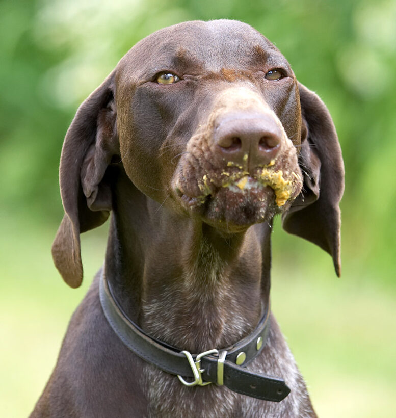 Yes, I know I've got a mucky face