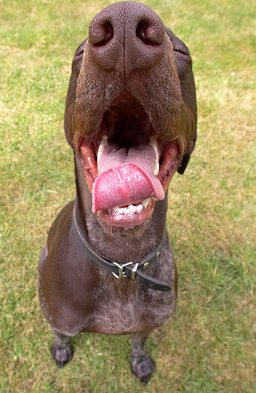 Gosh, all this starring is sooooo tiring