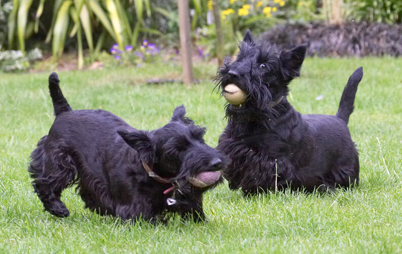 We're soooo happy playing together