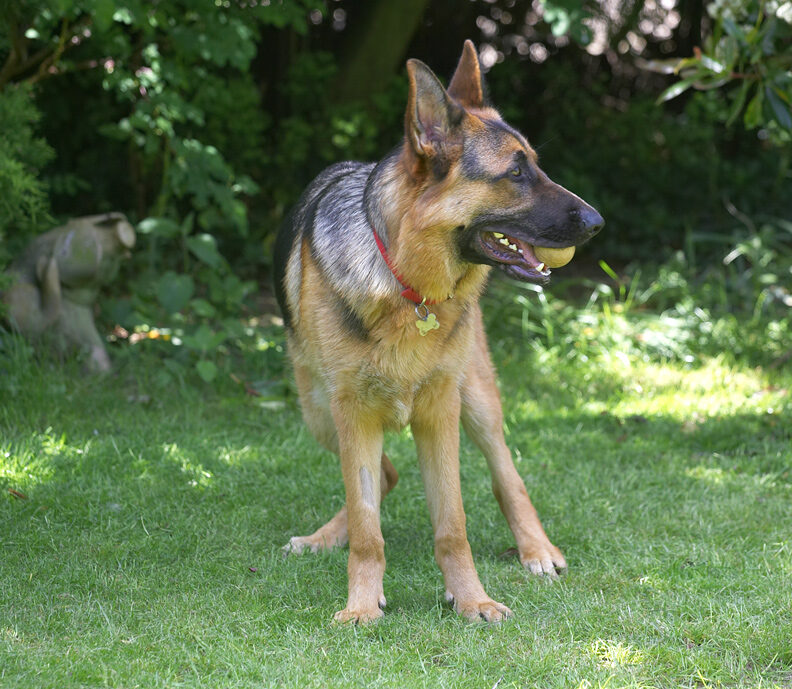 Not used to this sun, think I'll take a breather in the shade