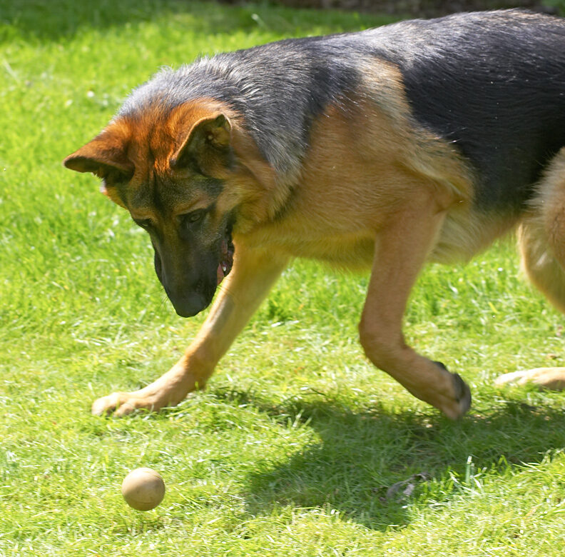 I've got my eye on the ball