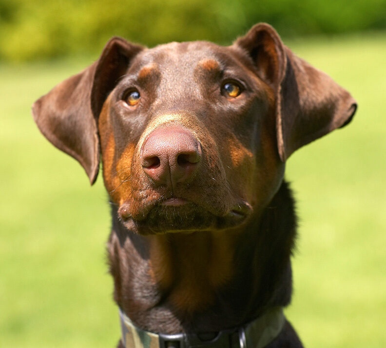 Aren't I handsome!